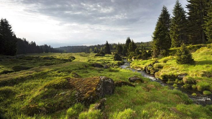 Šumava mountains - National Park