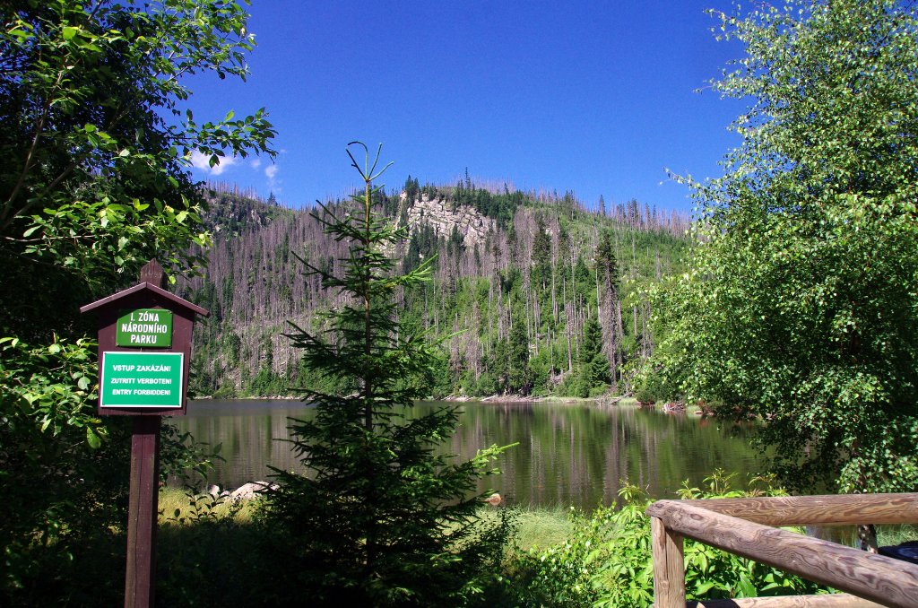 Šumava mountains - Plešné Lake
