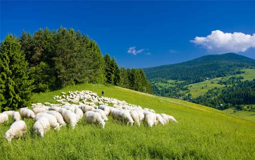 Beskydy mountains